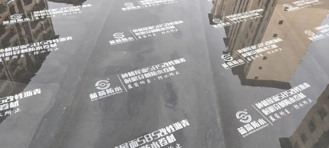 1658371598440113.jpg 微信圖片_20220721104548.jpg